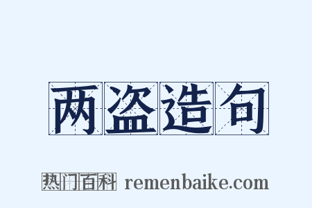 两盗造句是什么意思的图片